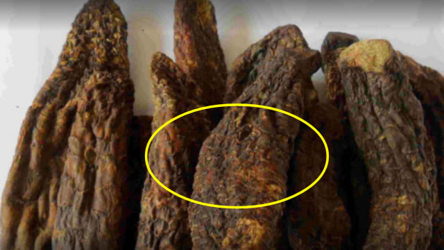 每天嚼几粒,补满肾气,7天肾脏恢复18岁!