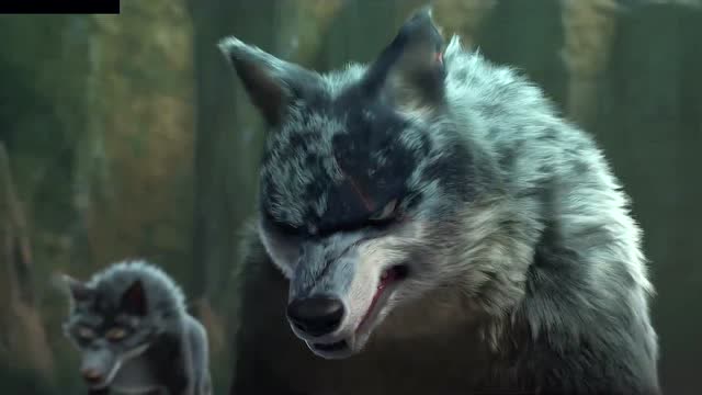 熊出没之原始时代狼群蓄势待发光头强和两只熊好危险呀