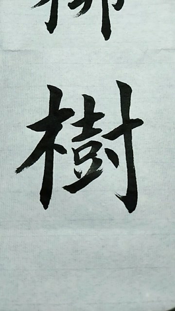 树字欧体楷书练习!
