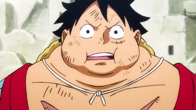 海贼王:路飞已经吃胖了