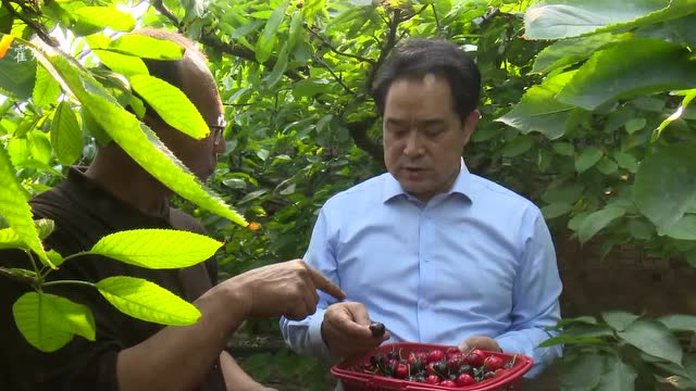 张发宁调研农业产业结构调整 促农增收工作