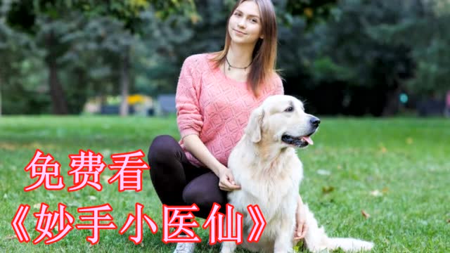 妙手小医仙吴东云汐完结版全集