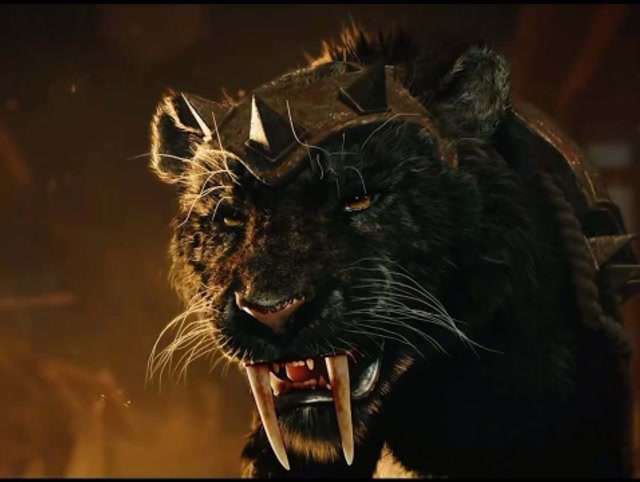 剑齿虎遇上东北虎