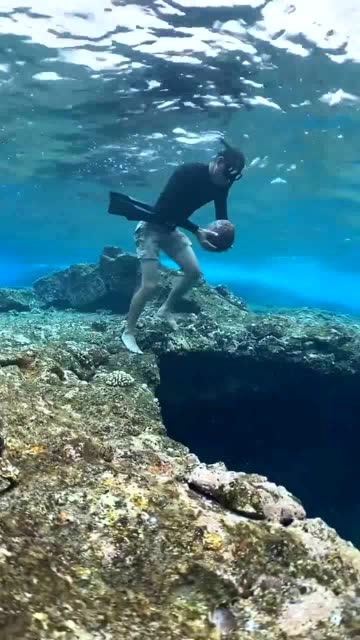 男子坠入海底深渊,摄影师成迷,他是如何拍摄的?