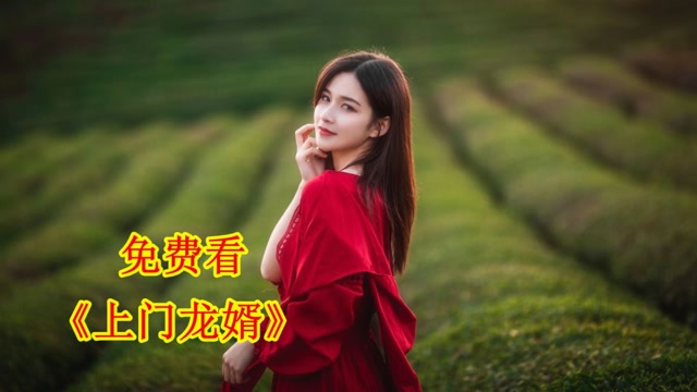上门龙婿叶辰萧初然大结局电视剧dvd版在线播放,48集全剧电视剧在线看