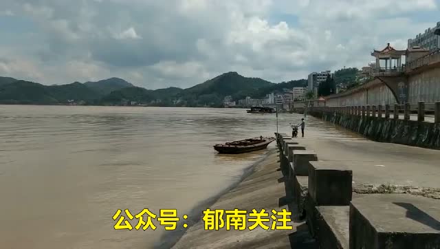 郁南都城西江河水情况