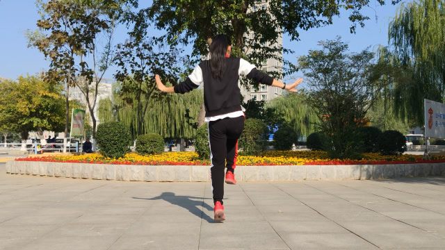 曳步舞《新策马奔腾》背面慢动作演示