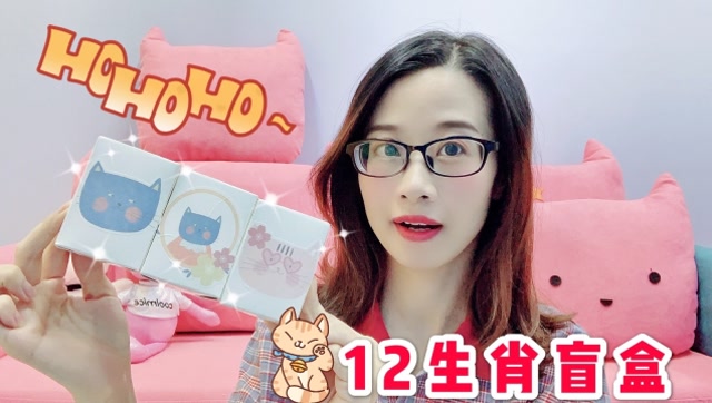 小蛮花100块钱买盲盒,可爱12生肖盲盒,既是娃娃又是不倒翁