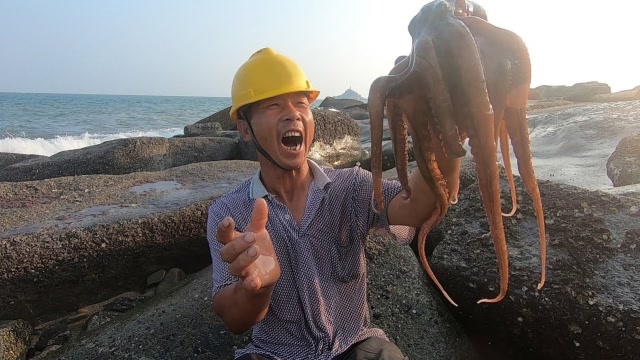 新海域岸边搁浅大猛货,来叔赶海来得早正好碰见,60一斤挺值钱的