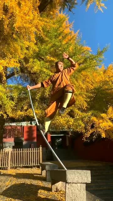 猴棍最经典的一个动作,太帅了!