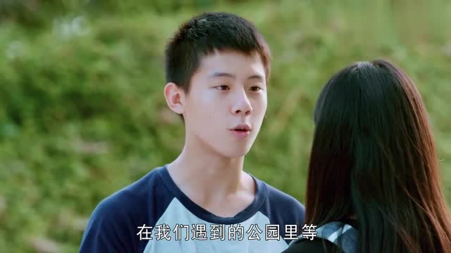 爱人的谎言:向阳真的如约而至,怎么突然有这么多钱!