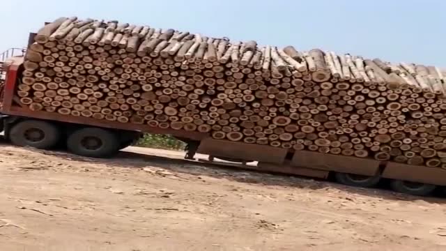 老司机卸车,这一车木头,卸的是相当有技术啊