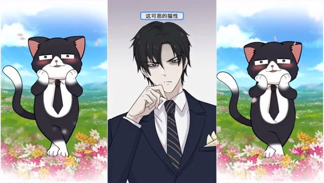 猫总白一航:心动女生去相亲,猫总坐不住了