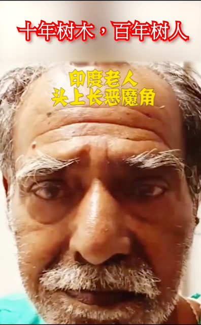 十年树木,百年树人