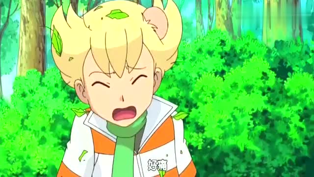 宝可梦:小智的月桂叶跑了,还砸到了人,这下尴尬了!
