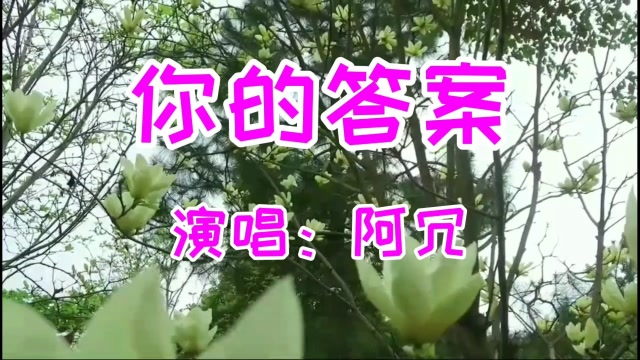 向着风拥抱彩虹,勇敢的向前走《你的答案》