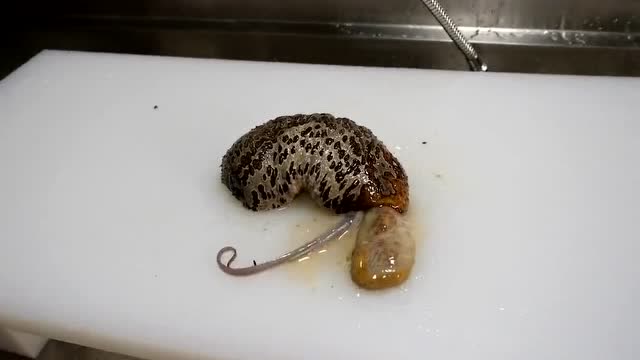 据说海参拉的这个虫子特别有营养!煎炸煮都可以,有知道这是什么吗?