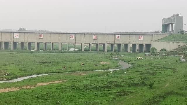 南水北调河南南阳卧龙区潦河渡槽附近天高草绿现牛羊