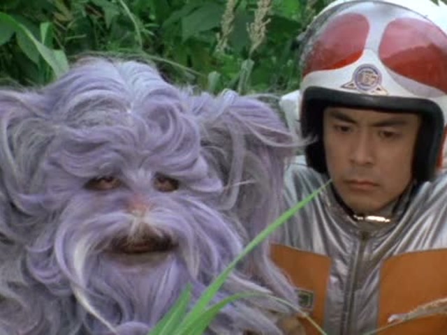 奥特曼:爱迪想要帮助外星人,逮捕怪兽嘎莫斯!