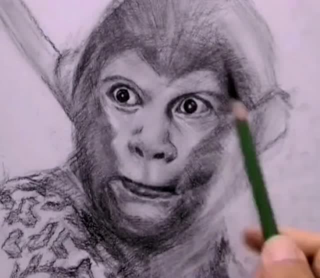 碳条起型炭笔刻画六小龄童美猴王超级像