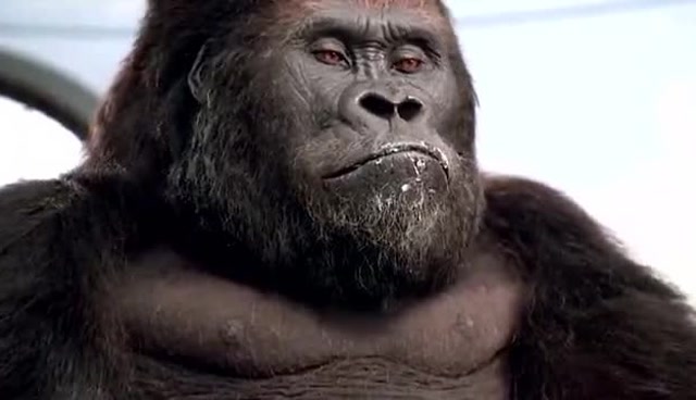 大猩猩为了保护小孩,跟坏人斗智斗勇,太搞笑了!