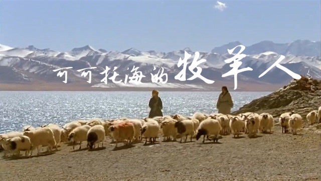 qq托海牧羊人图片