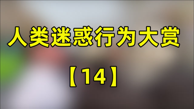 人类迷惑行为大赏【第14期】