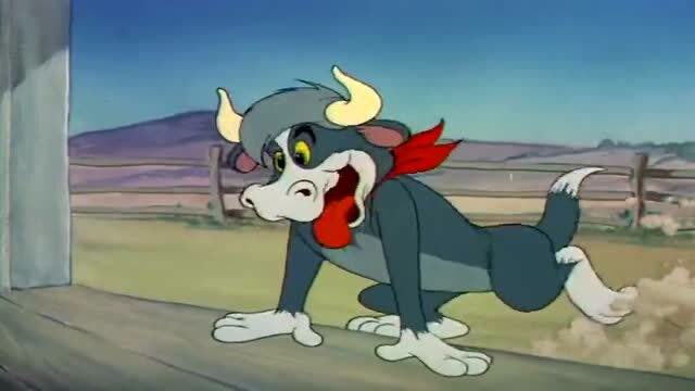 汤姆一看到美女,就忘记自己是只猫,变身大黑牛模式!