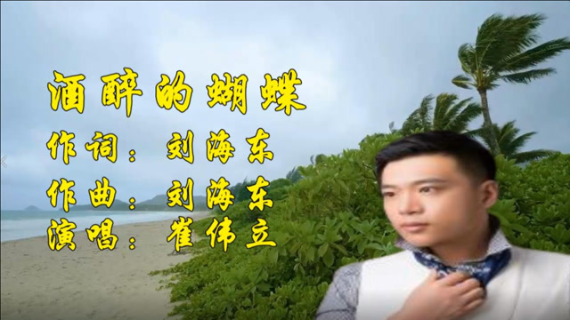 《酒醉的蝴蝶》崔伟立