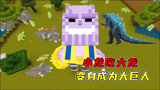 迷你世界：小龙吃大龙！墨渊冲破5000血，变身成为大巨人