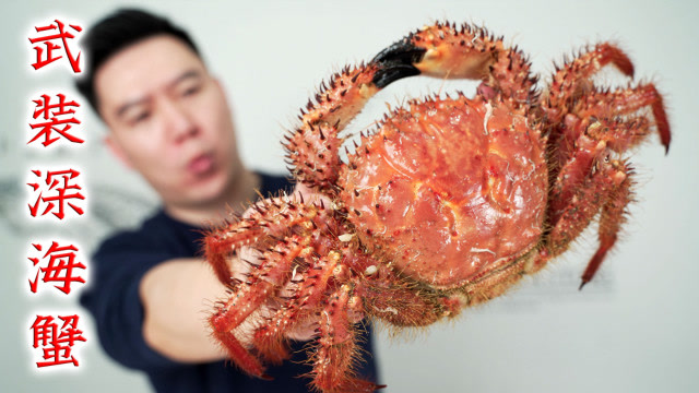 试吃武装深海蟹全身长满了尖刺与刚毛我太难了