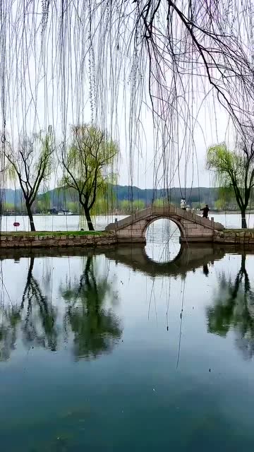 大自然美景草长莺飞三月天拂堤杨柳醉春烟水天一色柳影婆娑碧波倒影