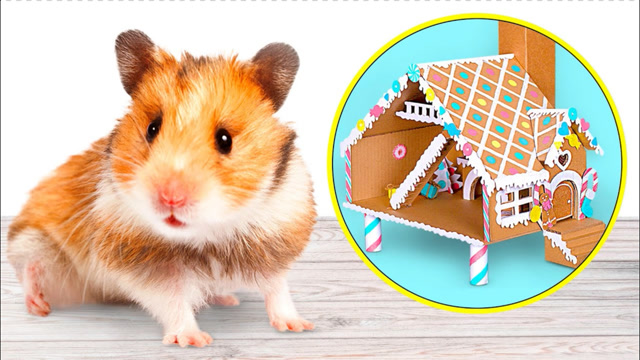 小山姆手工diy仓鼠硬纸板姜饼屋