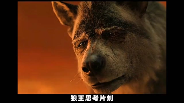 暗黑版的森林童话:《森林之子毛克利》