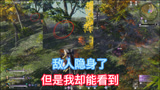 《永劫无间》敌人进入隐身草，但是我却能看见，这是开了透视？