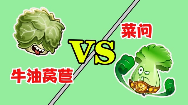植物大战僵尸:牛油莴苣和菜问的对决,谁更厉害呢
