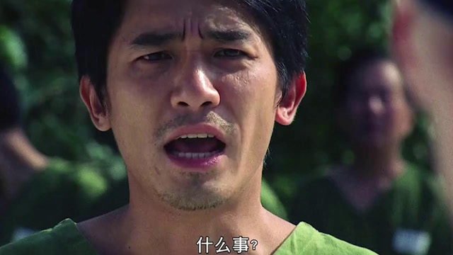 枪打出头鸟,这么简单的道理你还不懂吗