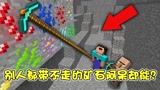 我的世界：史蒂夫还想和阿呆比壕？这下脸丢尽了吧