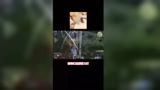 永劫无间：今天我学乖了，不振刀了
