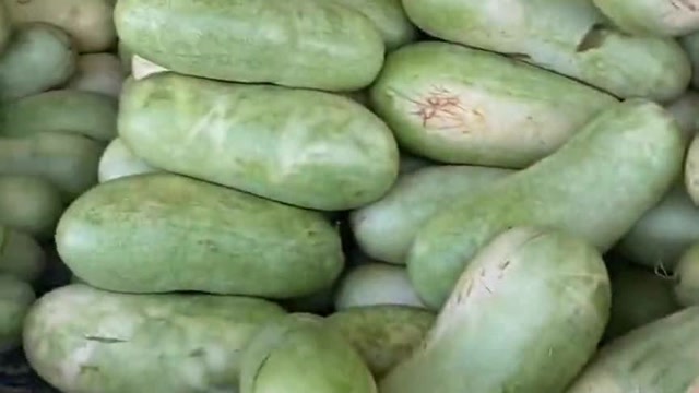 阿拉伯的大西瓜,当我走近一看居然长的像冬瓜,这就是最大的区别!