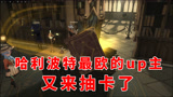 哈利波特魔法觉醒：有人质疑我的欧气？你知道什么叫金光附体吗？