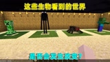 我的世界：这些生物看到的世界，和我们看到的是不是一样的呢？