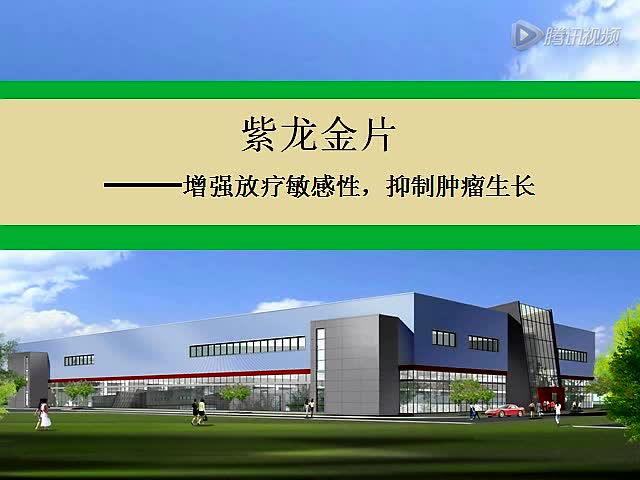 紫龙金片-放疗