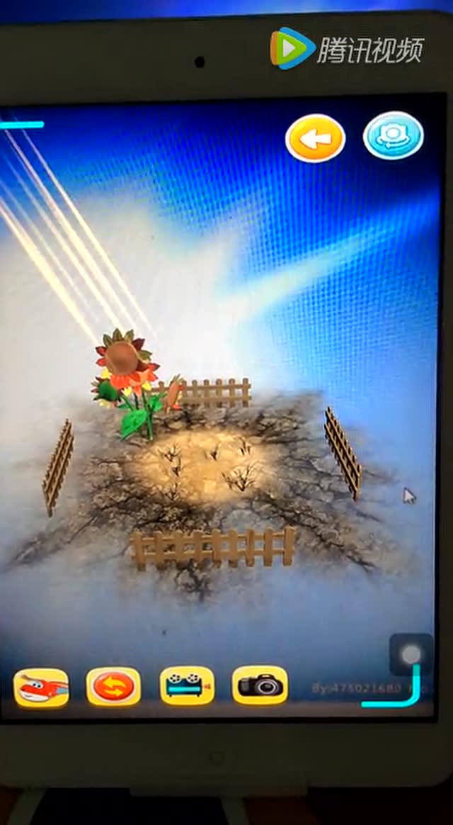 toole涂了3d魔图-向日葵