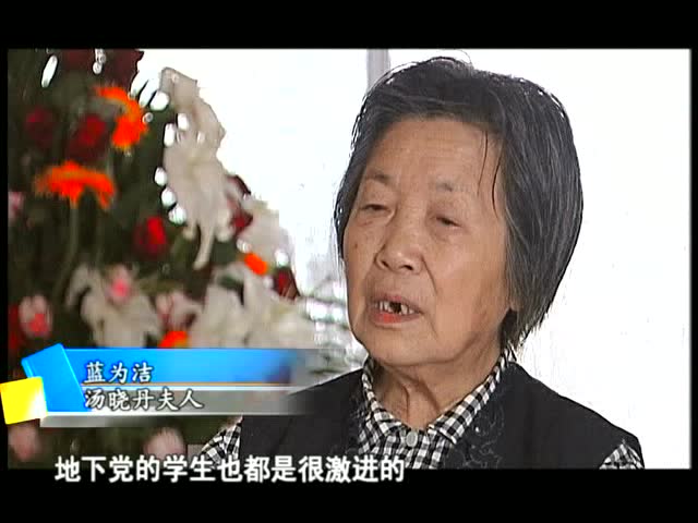 红色导演汤晓丹2--梦想沉鹭岛