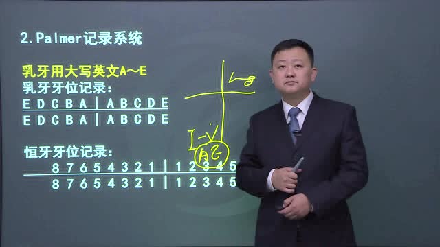 17口执医师精讲强化 口腔解剖生理学001 杨东