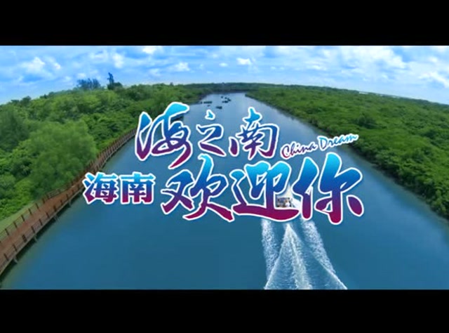 《海南欢迎你》(田丰作品/海南台摄制