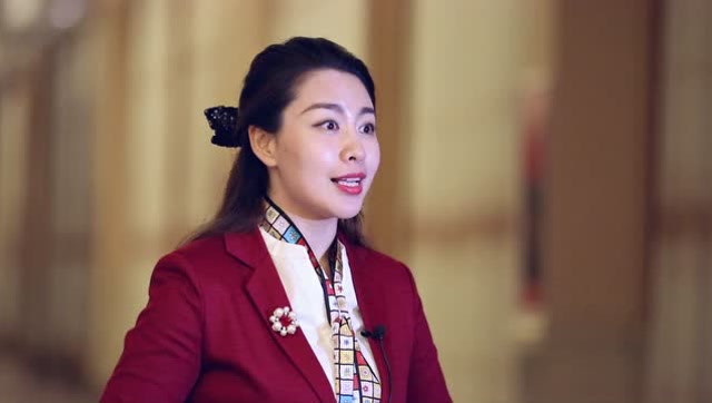 第三届全国导游大赛 参赛选手展示——河南导游 董阳