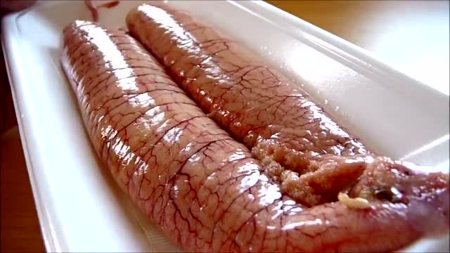 这个东西在大连 山东 都是不吃的 鲅鱼鱼籽 日本人真喜欢