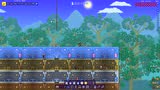 泰拉瑞亚 terraria 汉化版MOD 48 用身体换来的